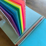 Ultimate Rainbow Spiral Classic Notebook